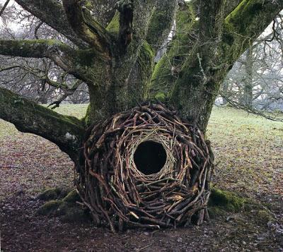 Land Art di Andy Goldsworthy