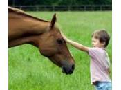 Equitazione gocce. L’ippoterapia Edda Cacchioni)