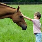 Equitazione in gocce. L’ippoterapia  (by Edda Cacchioni)