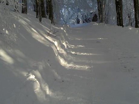 ABBONDANTI NEVICATE ANCHE IN CAMPANIA