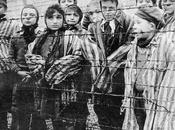 Shoah: Giornata della Memoria dedicata alla resistenza ebraica