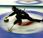 Curling