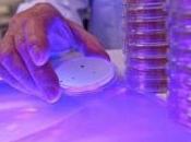 Super-UV glass