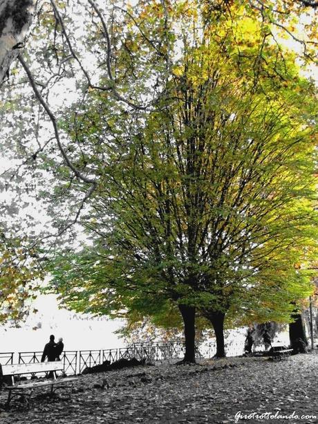 La ricaduta (3): Girovagando per Torino