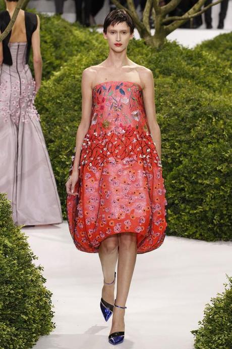 Paris Haute Couture - Dior, la pazienza è finita!