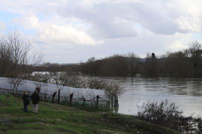 l'Arno in piena