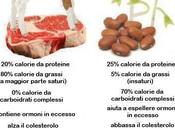 Proteine animali proteine vegetali