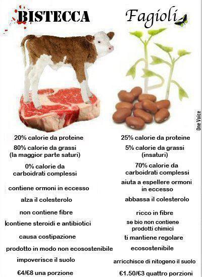 PROTEINE ANIMALI VS PROTEINE VEGETALI