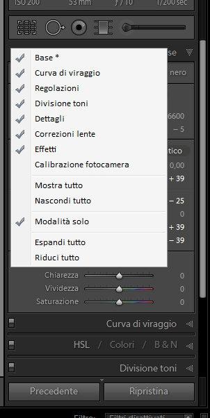 nascondere-pannelli-lightroom-01-terapixel