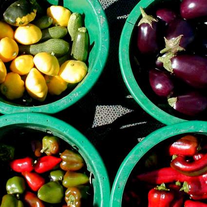 CAMPAGNA POPOLARE PER L’AGRICOLTURA CONTADINA