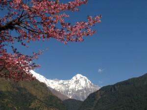 DUE BARLAFUSI SULL’ HIMALAYA