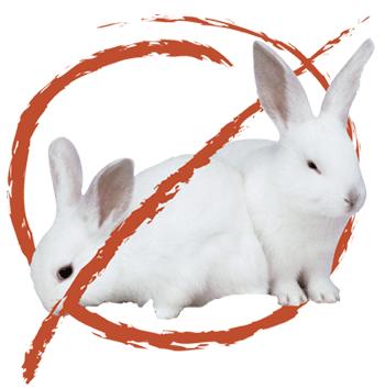 I COSMETICI “CRUELTY-FREE”