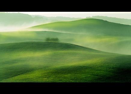 David Butali. My Tuscany