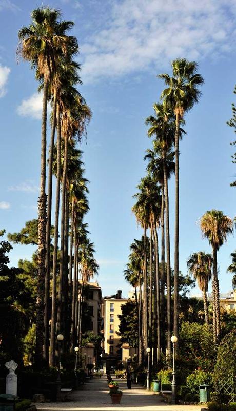 Palermo verdissima: Villa Giulia