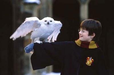 Breve guida babbana al magico mondo di Harry Potter