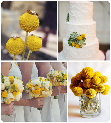 FIORI DI CRESPEDIA PER UN MATRIMONIO SUI TONI DEL GIALLO INTENSO