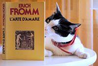 Casomai si imparasse