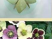 rubrica _design your life novembre