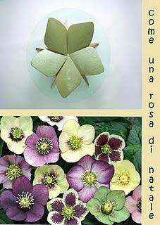 rubrica _design your life novembre