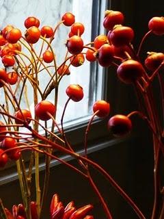 Decorazione con bacche di Rosa e peperoncini piccanti..