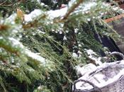 First Snowflake