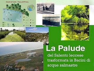 Le acque interne del Salento leccese