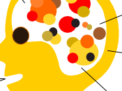 L’approccio cognitivista alla memoria. parte