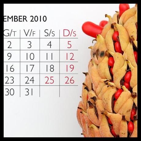Dicembre: sfondo scrivania / December: wallpaper
