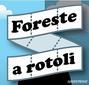 FORESTE A ROTOLI: CAMPAGNA DI GREENPEACE