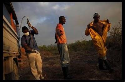 FOSSA COMUNE AD HAITI PER LE VITTIME DEL COLERA