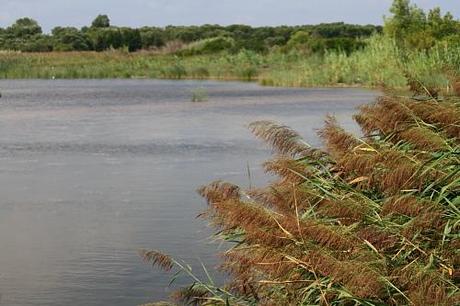 Le acque interne del Salento leccese