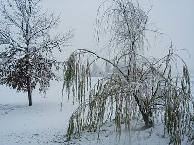 A CASA MIA NEVICA