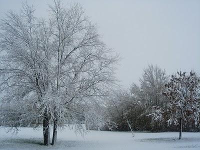 A CASA MIA NEVICA