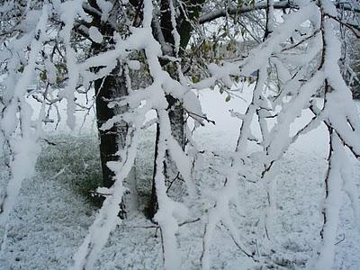 A CASA MIA NEVICA