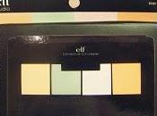 Corrective Concealer Palette