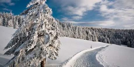 54 stupende immagini con tema l'inverno