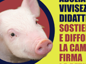 AgireOra petizione contro vivisezione didattica