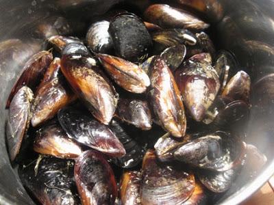 Insalata di ceci e cozze