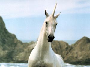 Unicorno