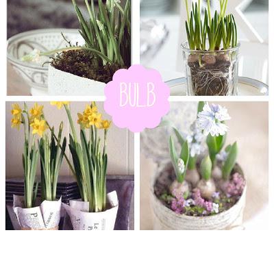 * Spring & Bulb *