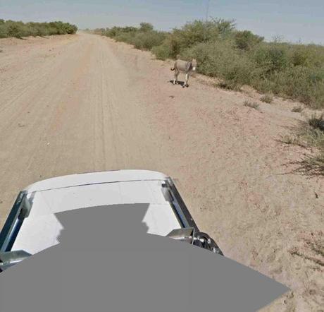 google-street-view-investe-asino-03-terapixel.jpg