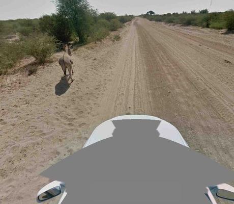 google-street-view-investe-asino-04-terapixel.jpg