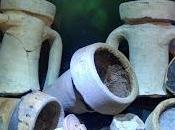 Archeologia subacquea. Relitti sommersi