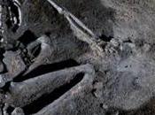 Decapitazioni primitive Inghilterra