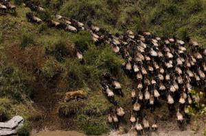«Voglio il posto al centro, quello bello! Corri, corri!»