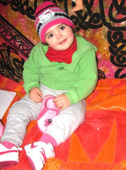 QUATTRO - BISCOTTI DI FROLLA BICOLORE