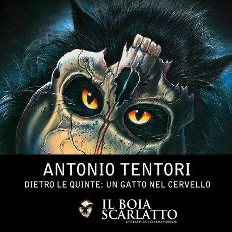 Un Gatto nel Cervello di Lucio Fulci: Dietro le Quinte di Antonio Tentori