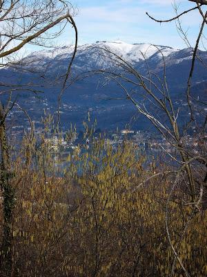 San Maurizio d'Opaglio (No)