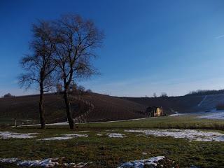 Serravalle Scrivia (Al): Villa La Bollina e dintorni