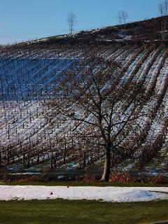 Serravalle Scrivia (Al): Villa La Bollina e dintorni